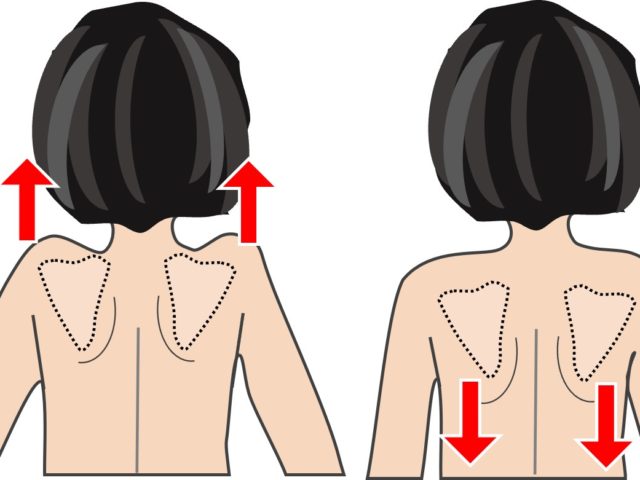 肩甲骨の固さは四十肩・五十肩の原因になる？！